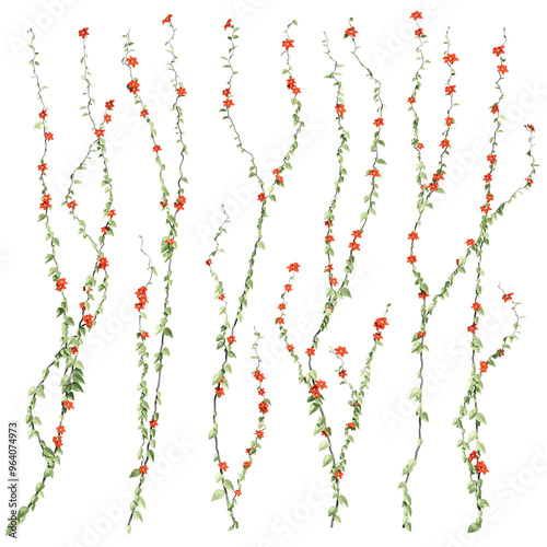 3D render of growing plant leaves isolated on a transparent background