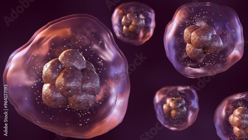 3d rendering of a microscopic view of multiple cells, each surrounded by a translucent membrane and containing smaller internal structures. photo