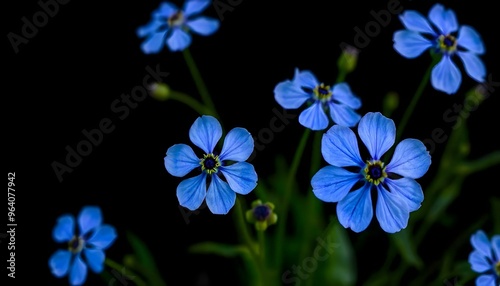 blue flowers in the wind