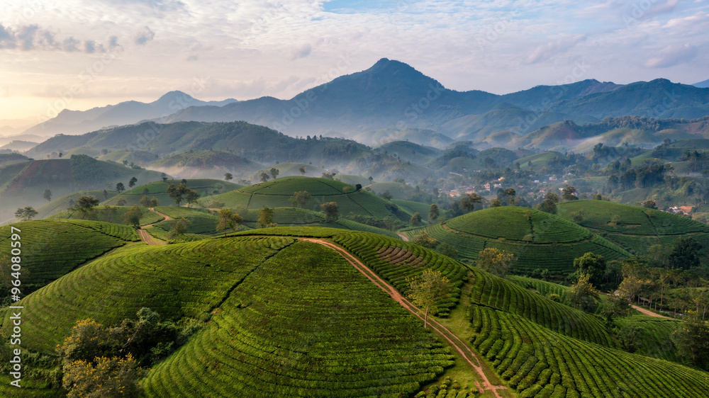 Fototapeta premium Beautiful aerial view of Long Coc tea hills. Long Coc in Phu Tho Province, Vietnam