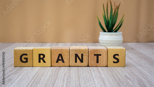 GRANTS word. Copy space. Concept word GRANTS on wooden blocks. Business and financial concept. 