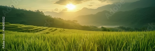 Majestic Sunset Over Lush Green Rice Terraces