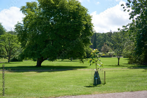 Gothenburg botanical garden in Sweden