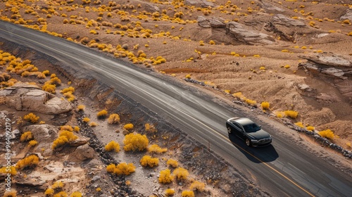 A solitary car traversing a lonely desert road, with the surrounding landscape featuring rocky soil and sporadic clusters of yellow desert flowers.