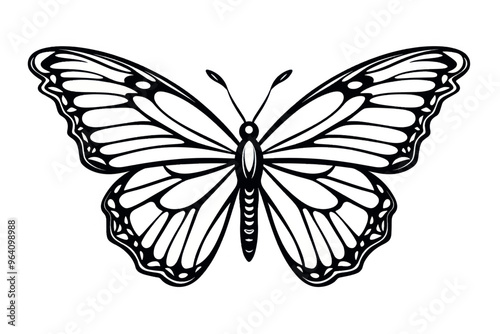 Intricate butterfly line art