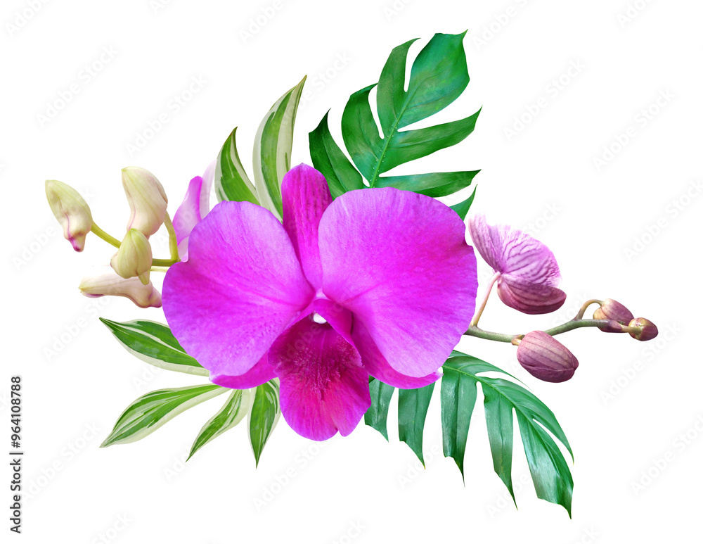 Obraz premium Pink orchid flower with tropical leaves in floral arrangement isolated on transparent background