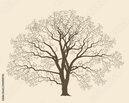 Oak tree logo. Isolated oak tree on white background