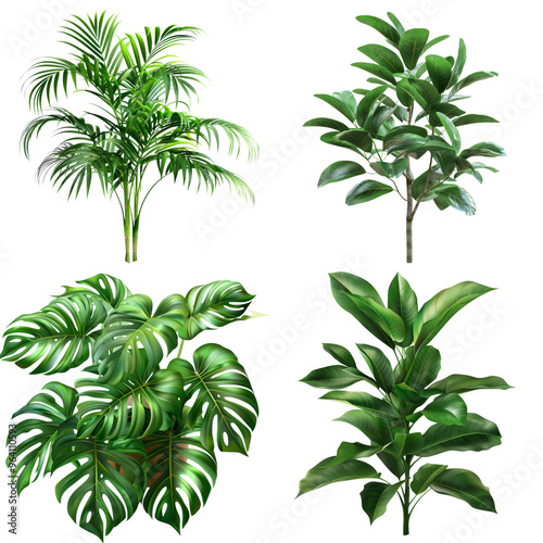 Tropical Green Leaf Set, Ideal for Interior Decoration, Isolated on Transparent Background