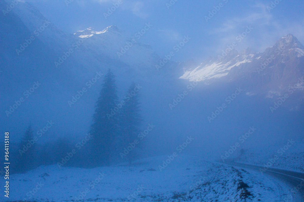 Obraz premium a forest covered in fog