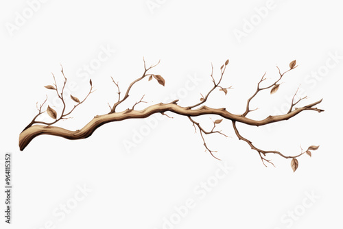 Bare tree branch with leaves