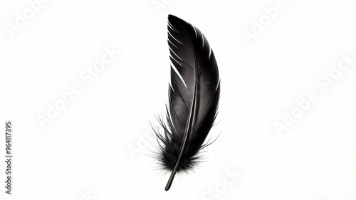 A feather with a feather on it is drawn in black and white, intricate quill pen sketch of a large primary feather with a smaller contour feather delicately balanced on its shaft. photo