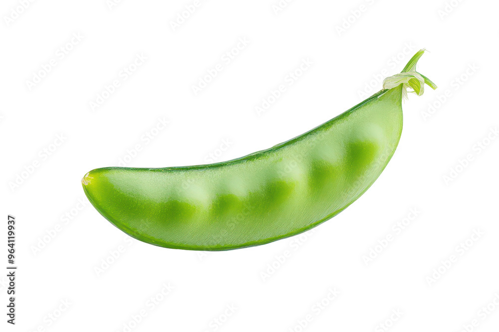 Fresh green pea pod, vibrant and healthy, perfect for showcasing nature's bounty and culinary delights. Fresh green pea pod, vibrant and healthy, perfect for showcasing nature's bounty and culinary delights.