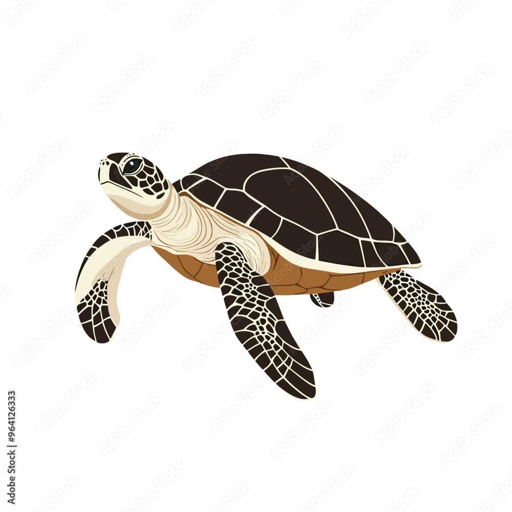 Fototapeta premium Turtle vector isolated