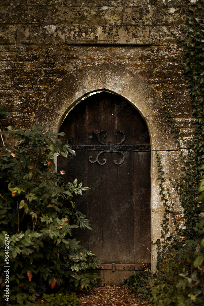 Fototapeta premium old door in a castle