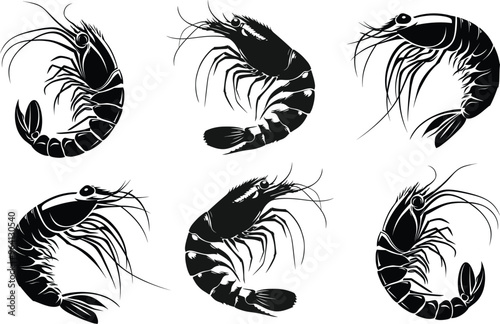 Shrimp Vector Vector Art and Graphics, Image Illustration