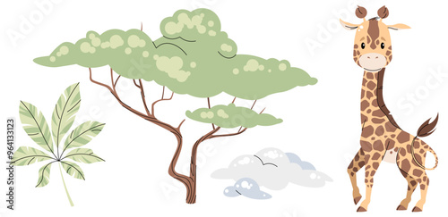 Set of African animals and plants on white background. Illustration of giraffe, acacia in flat cartoon style. Safari collection. Vector clipart for clothes, fabric, greeting cards, stickers, etc.