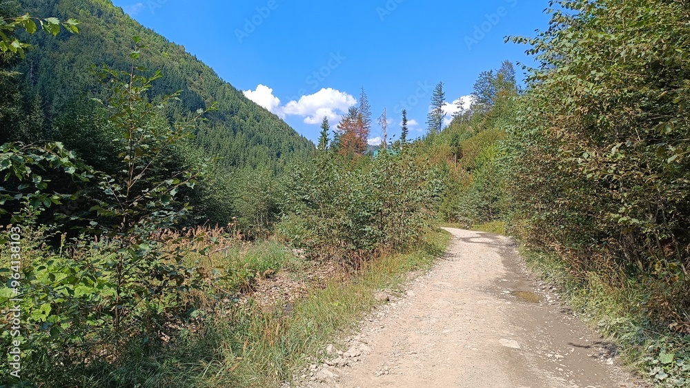 dirt road in the mountains dirt road in the mountains