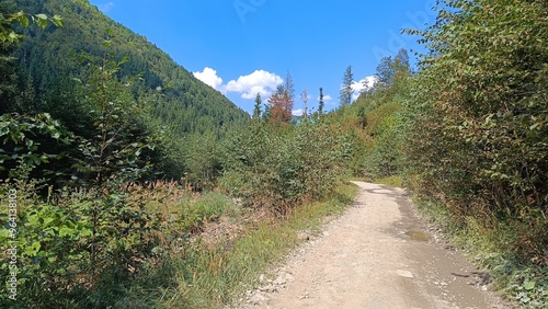 dirt road in the mountains