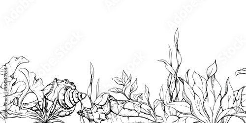 Marine life, sea ocean underwater creatures fish, shells algae seaweed, Ink and pen sketch hand drawn. Seamless banner illustration, stylized, isolated on white. For zoo shop, aquarium, fabric decor