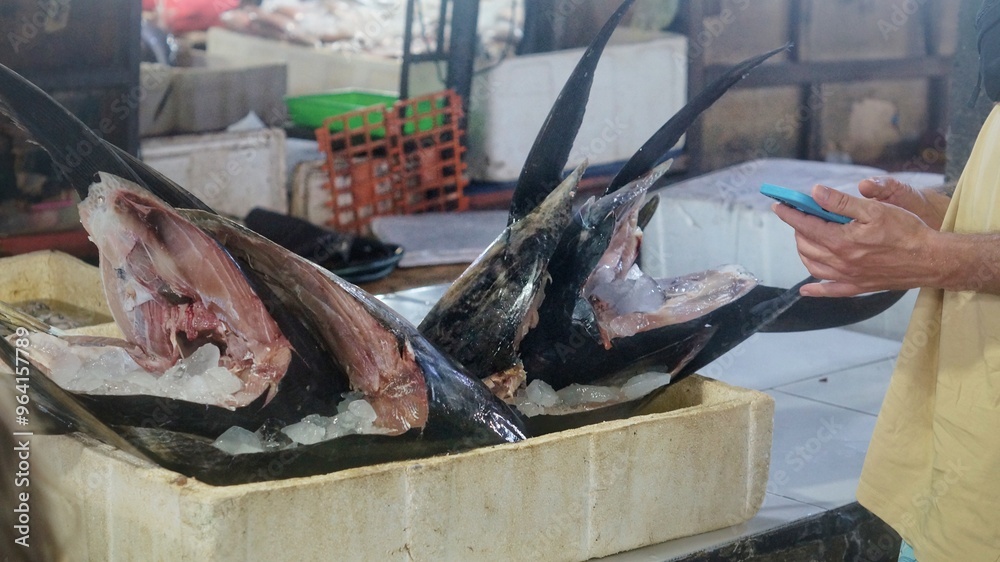 asian fish market huge tuna heads on the counter asian fish market huge tuna heads on the counter