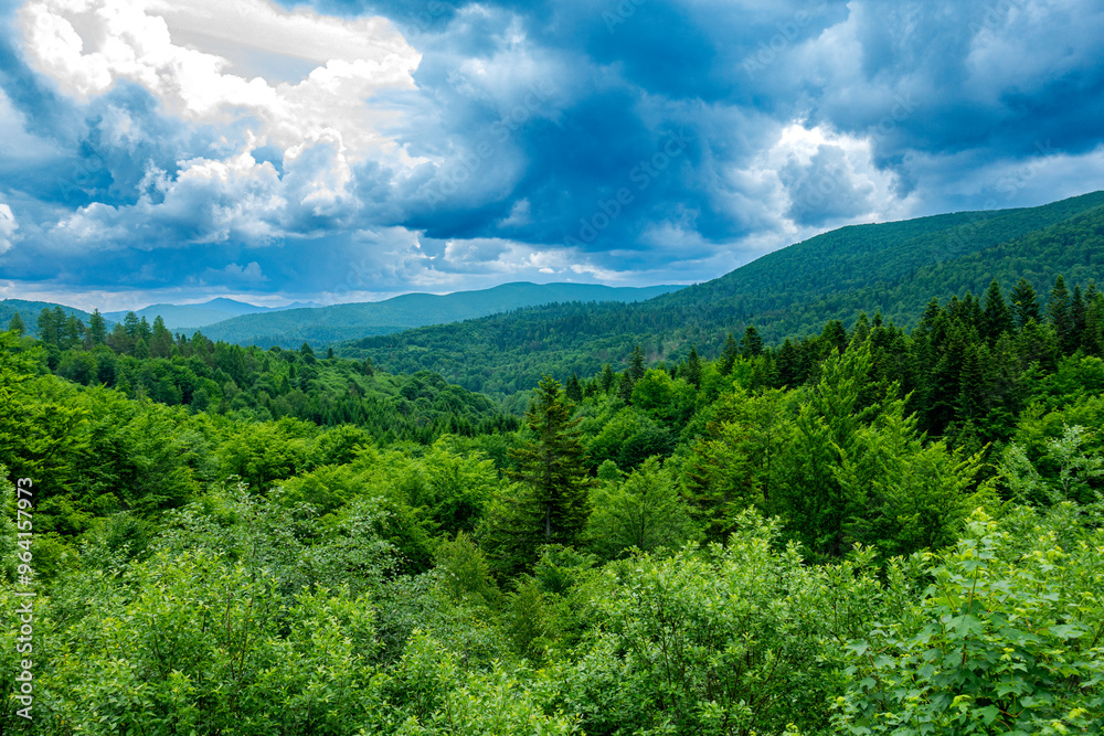 Bieszczady góry las drzewa dolina niebo chmury wiosna lato pochmurnie burza Bieszczady góry las drzewa dolina niebo chmury wiosna lato pochmurnie burza