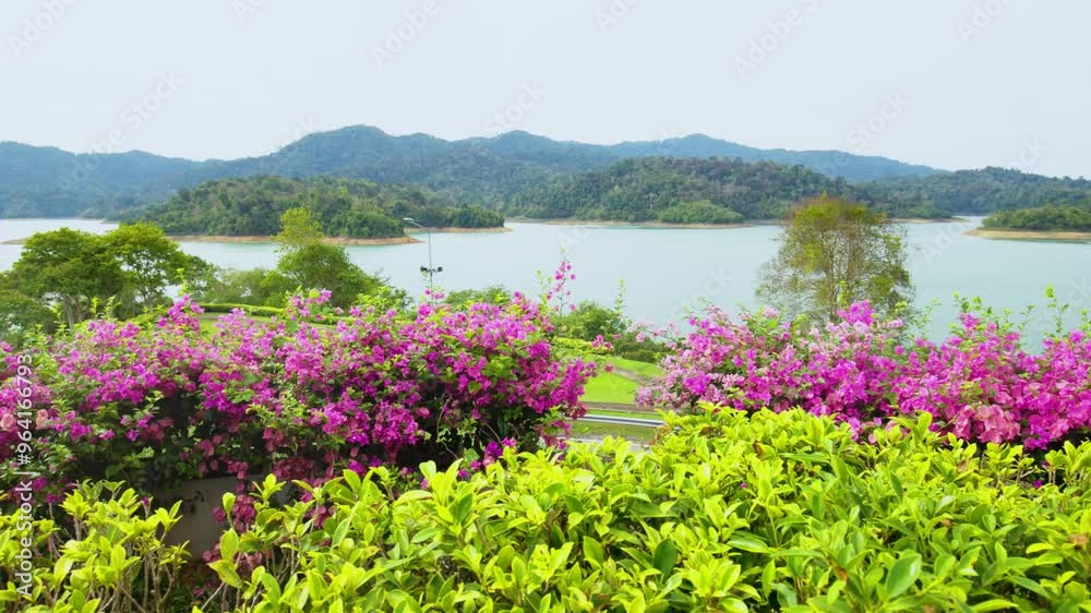 Panoramique du lac de Cheow Lan avec des fleurs