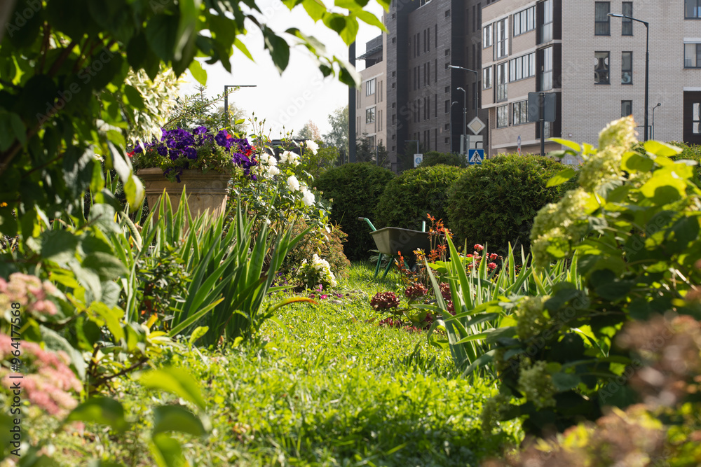A lush green garden with vibrant flowers and plants, surrounded by modern residential buildings. The image showcases urban gardening, nature, and sustainability in a city setting A lush green garden with vibrant flowers and plants, surrounded by modern residential buildings. The image showcases urban gardening, nature, and sustainability in a city setting