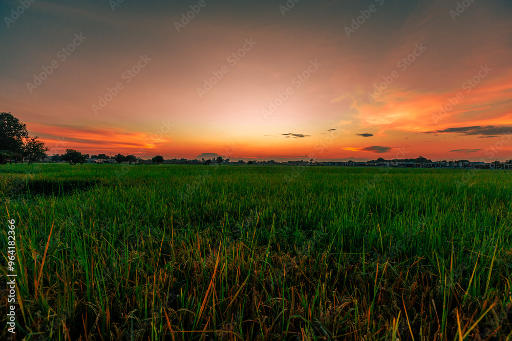 Panoramic nature background from high mountains overlooking the beautiful scenery below, green rice fields, big and small trees, beautiful rugged mountains from the viewpoint.