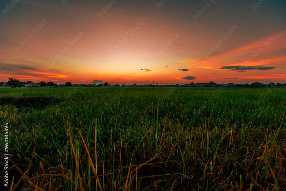 Fototapeta premium Panoramic nature background from high mountains overlooking the beautiful scenery below, green rice fields, big and small trees, beautiful rugged mountains from the viewpoint.