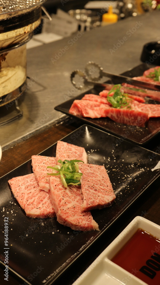 KoreanBeefGrill, Hanwoo, KoreanBBQ, GrilledBeef, KoreanCuisine, AsianCuisine, TraditionalKoreanFood, KoreanDining, CharcoalGrill, BeefLovers, KoreanBarbecue, KoreanMeatDish, AuthenticKorean, KoreanRes