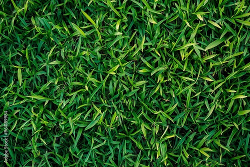 Vibrant Green Grass Lawn Texture for Nature Enthusiasts