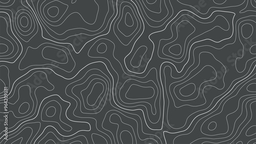 Wallpaper Mural Contour topographic map background. Topography and geography map grid abstract backdrop. Editable stroke. Linear graphics. Topographic relief. Subtle black vector background. Vintage outdoors style Torontodigital.ca