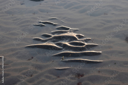 ripple marks at low tide on a sandy beach on the Channel, Manche, France photo