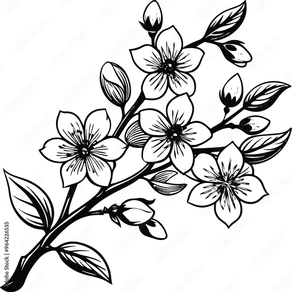 black and white flowers black and white flowers
