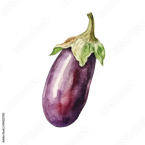 watercolor Aubergine isolated white background