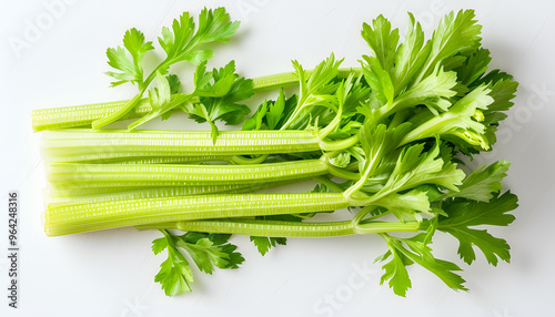 fresh celery isolated on white background.Top view. Flat lay photo