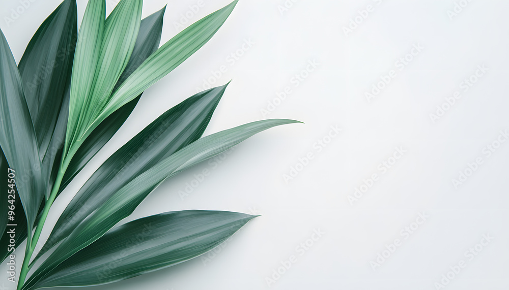 A single word or short phrase in a clean, simple font, placed subtly in the center or corner of the wallpaper A single word or short phrase in a clean, simple font, placed subtly in the center or corner of the wallpaper