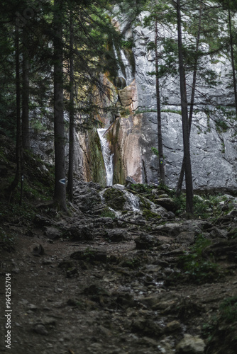  serene waterfall cascades down a rugged cliff, framed by tall trees in a dense forest. The rocky path leading to the waterfall adds a sense of adventure and discovery to the natural setting. 