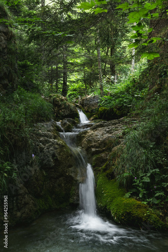 A tranquil waterfall flows over mossy rocks in a lush green forest. The serene water contrasts with vibrant foliage, creating a peaceful and refreshing natural scene.