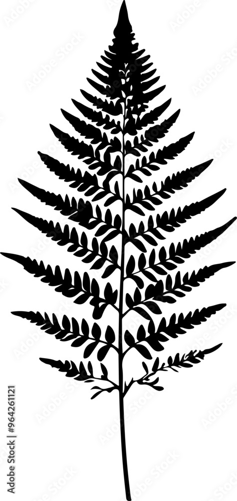 Silhouette of a Fern Leaf on White Background Silhouette of a Fern Leaf on White Background