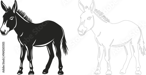 Vector image of horses. Vintage horse illustration.