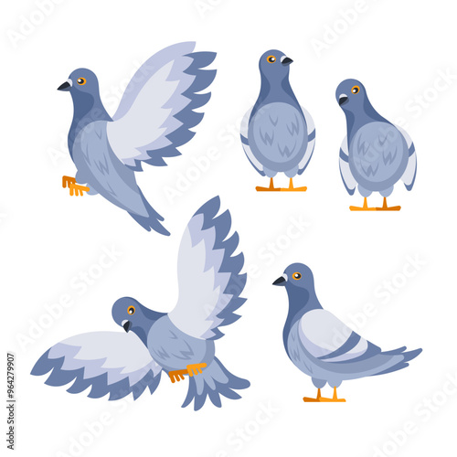 Set of pigeons standing and flying with spread wings