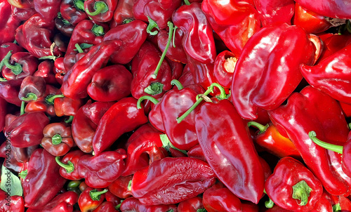 Raw Red Pepper in a Pile; Freshly picked red peppers