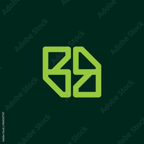Letter BS combination logo design