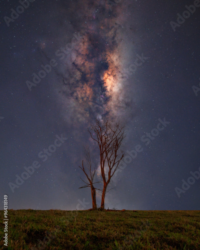 The tree cosmic soul photo