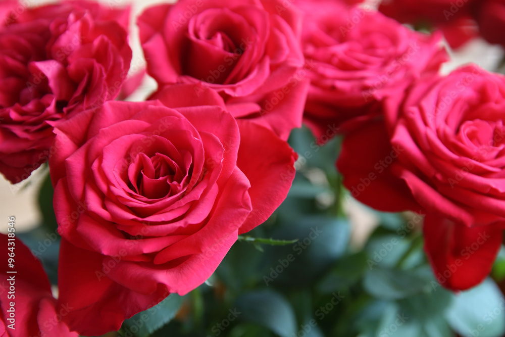 Bouquet of red garden roses.Close-up. Blurred floral background Bouquet of red garden roses.Close-up. Blurred floral background