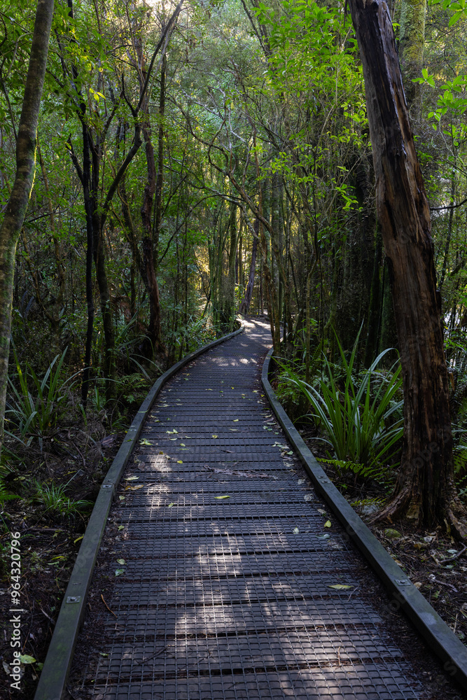 Obraz premium Wooden walkway into the forest walk.