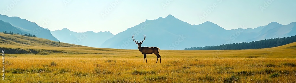 Fototapeta premium Majestic Deer in Open Meadow with Mountain View - Panoramic Nature Banner