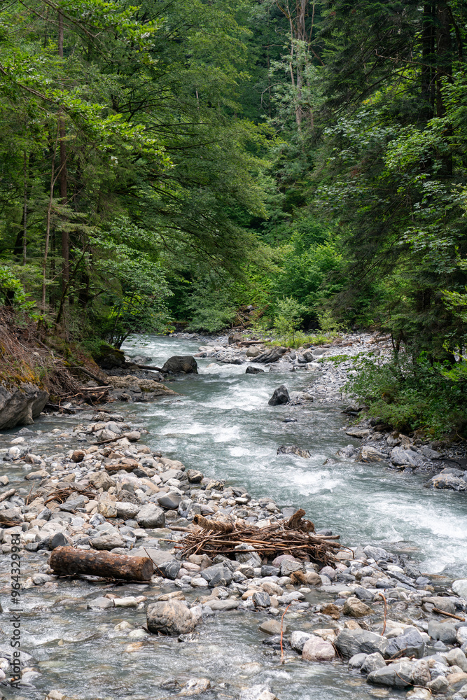 River Tamina Valley in Switzerland River Tamina Valley in Switzerland