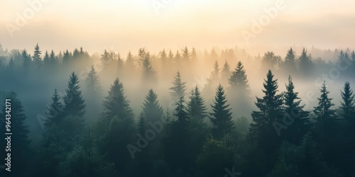 A serene forest scene shrouded in mist, capturing the beauty of nature at dawn with tall trees and soft light.